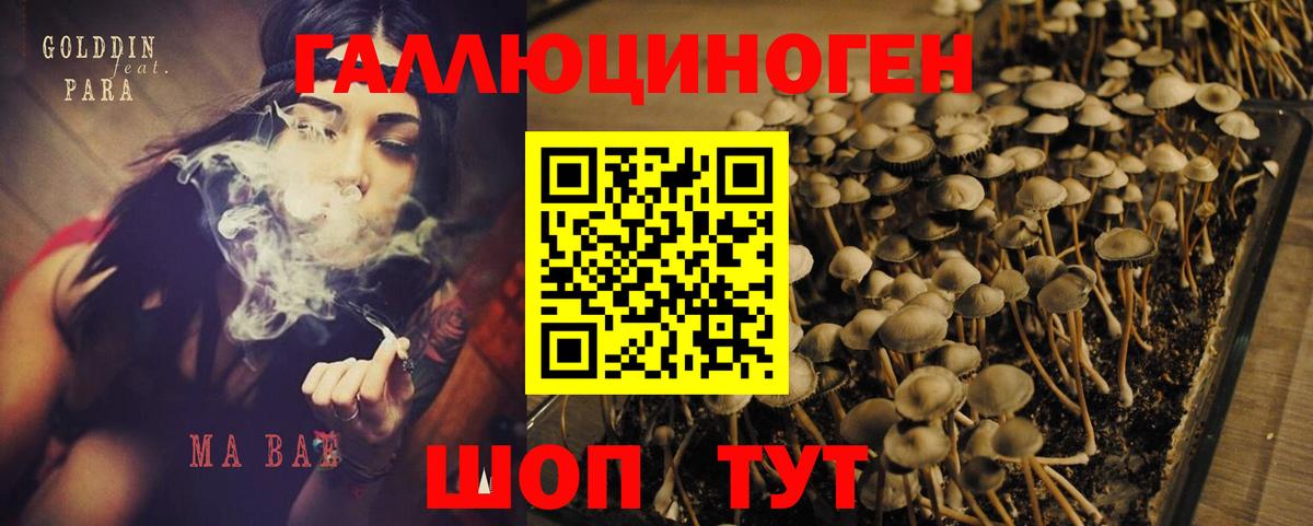 Псилоцибиновые грибы ЛСД Домодедово