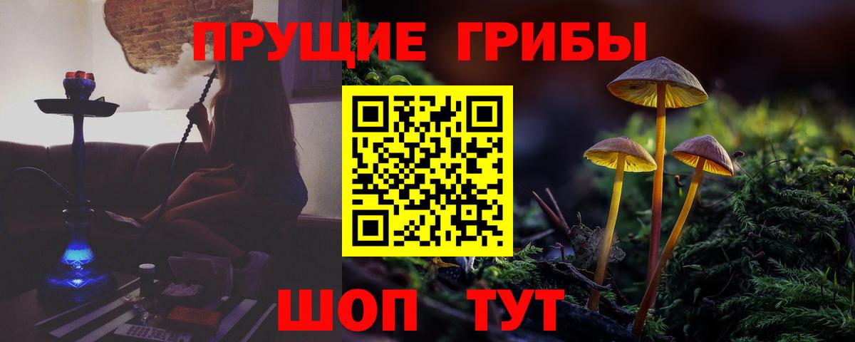 Галлюциногенные грибы Cubensis  Вход с VPN  Домодедово 